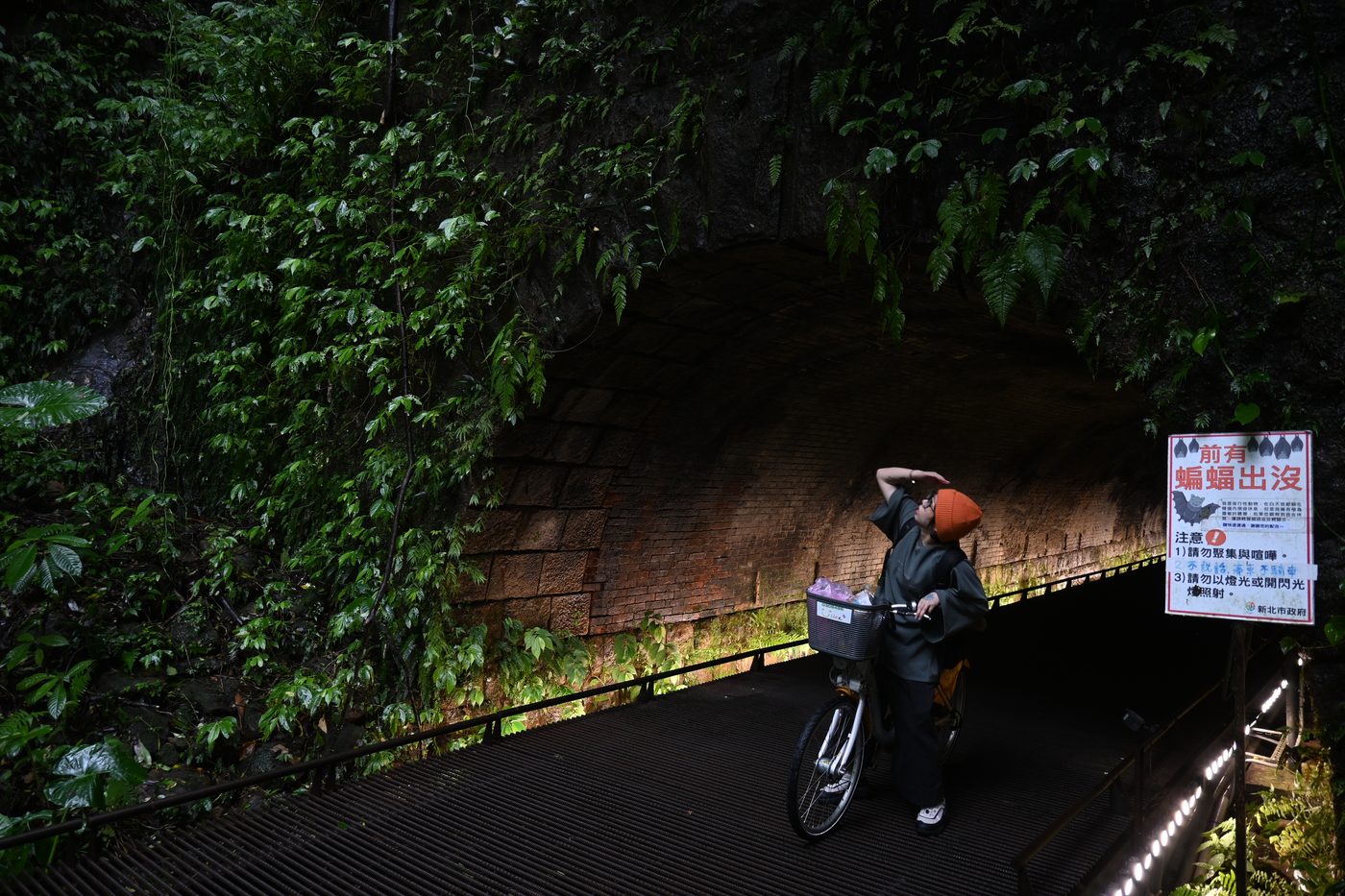 一起穿過那個小隧道 🚴