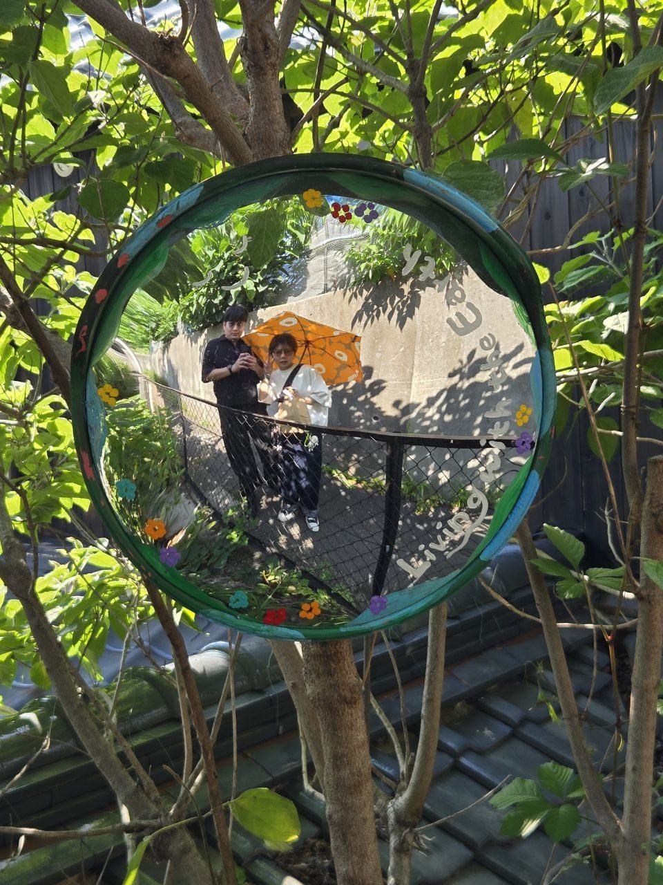 樹林裡的那面鏡子 🍃
